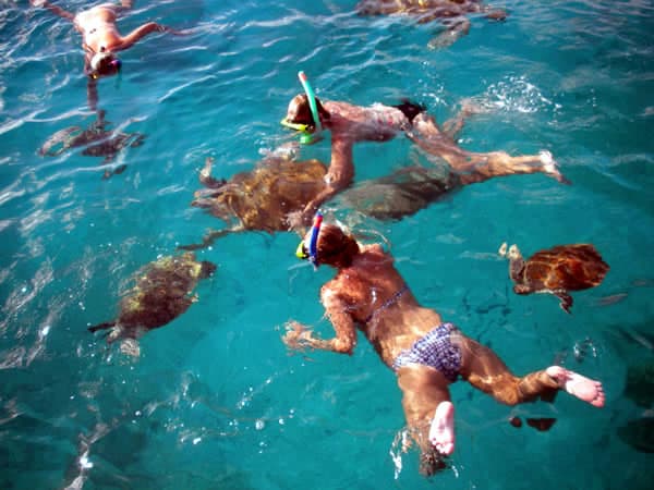 catamaran snorkeling barbados