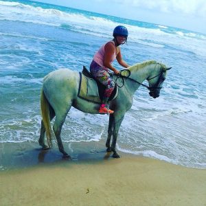 barbados beach horseback excursion