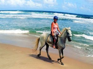 barbados horseback 2