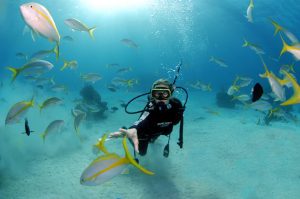 scuba diving barbados 3