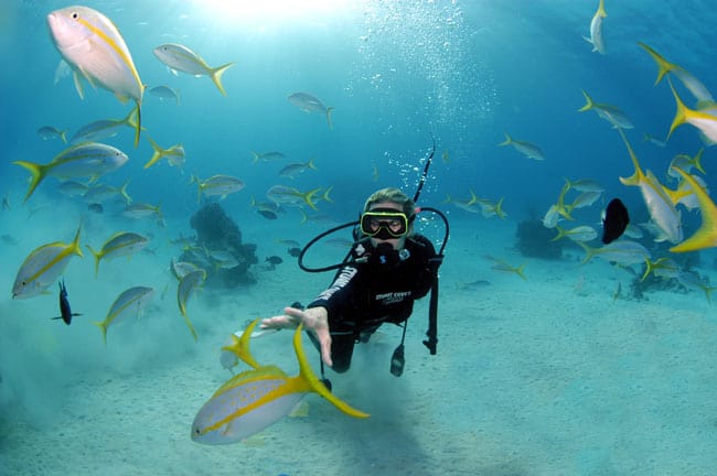 Barbados Cruise Excursions Scuba Diving And Beach Day